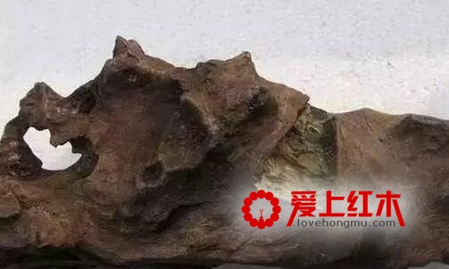 盘点7大养生木材-5