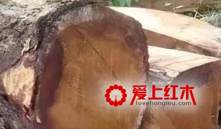盘点红木市场上冒充缅甸花梨的9种木材【图】-1