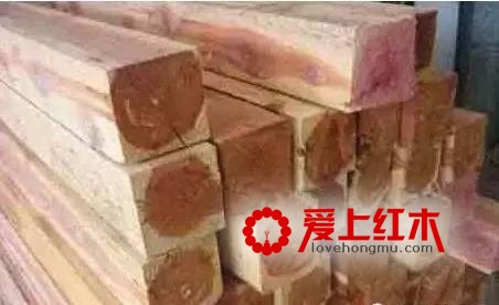 盘点红木市场上冒充缅甸花梨的9种木材【图】-7
