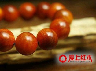 血龙木的养生作用和功效！
