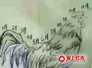 你知道吗，购买红木家具也要讲究时间