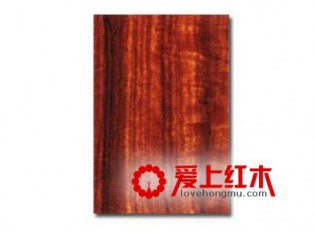 正确认识红酸枝的木性的基本常识