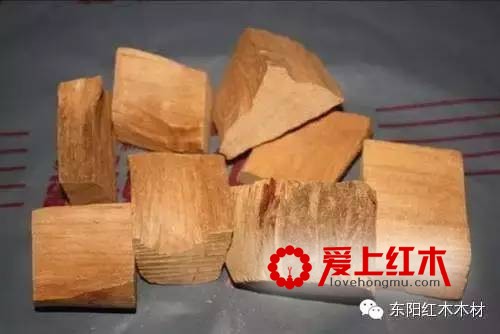 檀香木很贵 可是它到底贵在哪了？-2