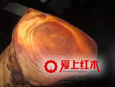 听说这是红木圈中人的特点 欢迎对号入座-1