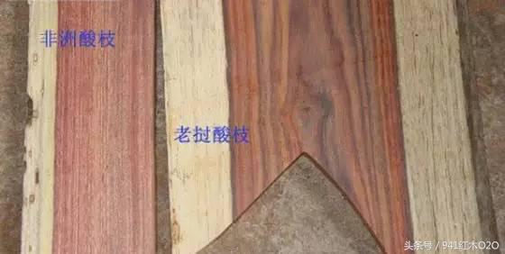 消费者如何避免落入红木家具陷阱-10