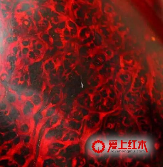 小叶紫檀金星、瘿子、牛毛纹、水波纹在各种切面的形态-4