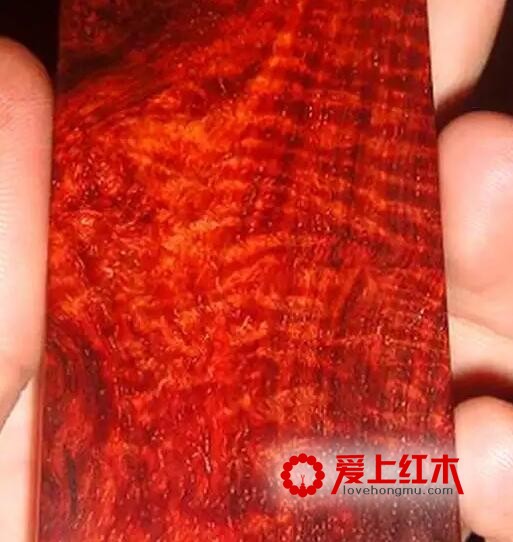 小叶紫檀金星、瘿子、牛毛纹、水波纹在各种切面的形态-8
