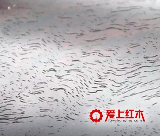 小叶紫檀金星、瘿子、牛毛纹、水波纹在各种切面的形态-15