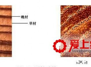 百年老紫檀是什么？