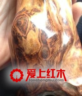 海南黄花梨与越南黄花梨的七个相同点是什么？-1