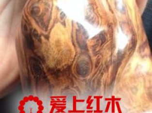海南黄花梨与越南黄花梨的七个相同点是什么？
