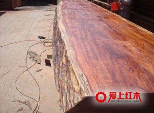 介绍红木中的清新派：黄梨木