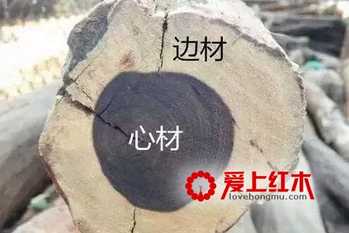 什么是小叶紫檀的二膘料、泥料、犀角质、鸡血料？-1