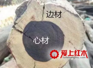 什么是小叶紫檀的二膘料、泥料、犀角质、鸡血料？
