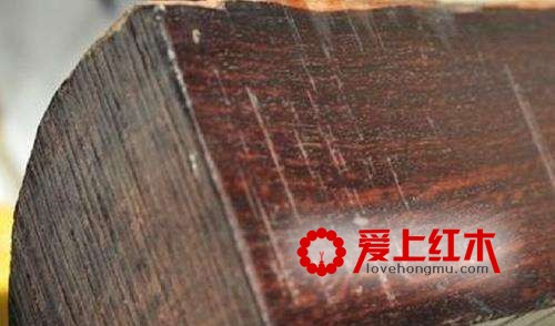 皇帝都爱用的木头：中国古代的四大名木-1
