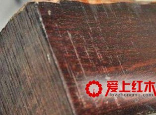 皇帝都爱用的木头：中国古代的四大名木