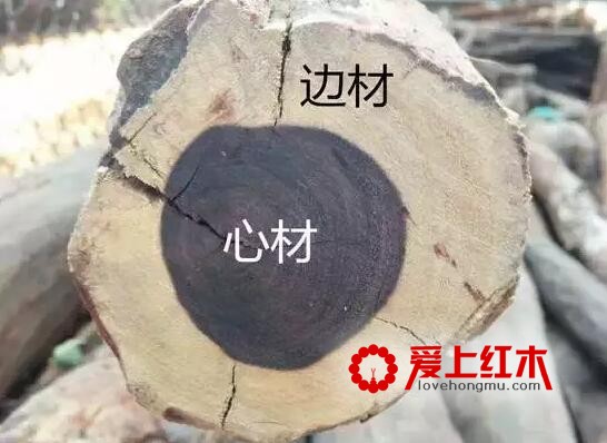 购买红木家具或红木工艺品必知的几个术语-1