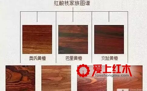 购买红木家具或红木工艺品必知的几个术语-6
