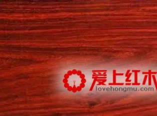 红木家具中十六种木材资料纹理优点介绍 家具中的美人