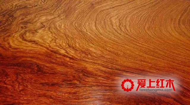 红木家具中十六种木材资料纹理优点介绍 家具中的美人-3