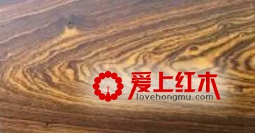 红木家具中十六种木材资料纹理优点介绍 家具中的美人-7