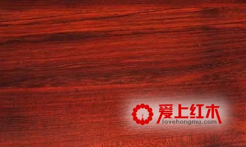 红木家具中十六种木材资料纹理优点介绍 家具中的美人-10