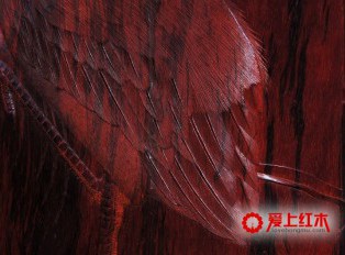 丝翎檀雕技法的前世今生 丝翎檀雕艺术创新介绍