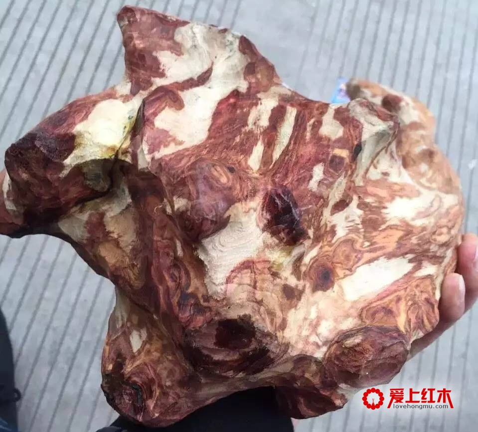 海南黄花梨的身价传奇史 海南黄花梨的收藏价值-3