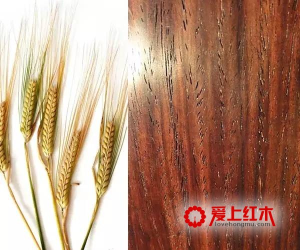 海南黄花梨的身价传奇史 海南黄花梨的收藏价值-1