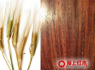 海南黄花梨的身价传奇史 海南黄花梨的收藏价值
