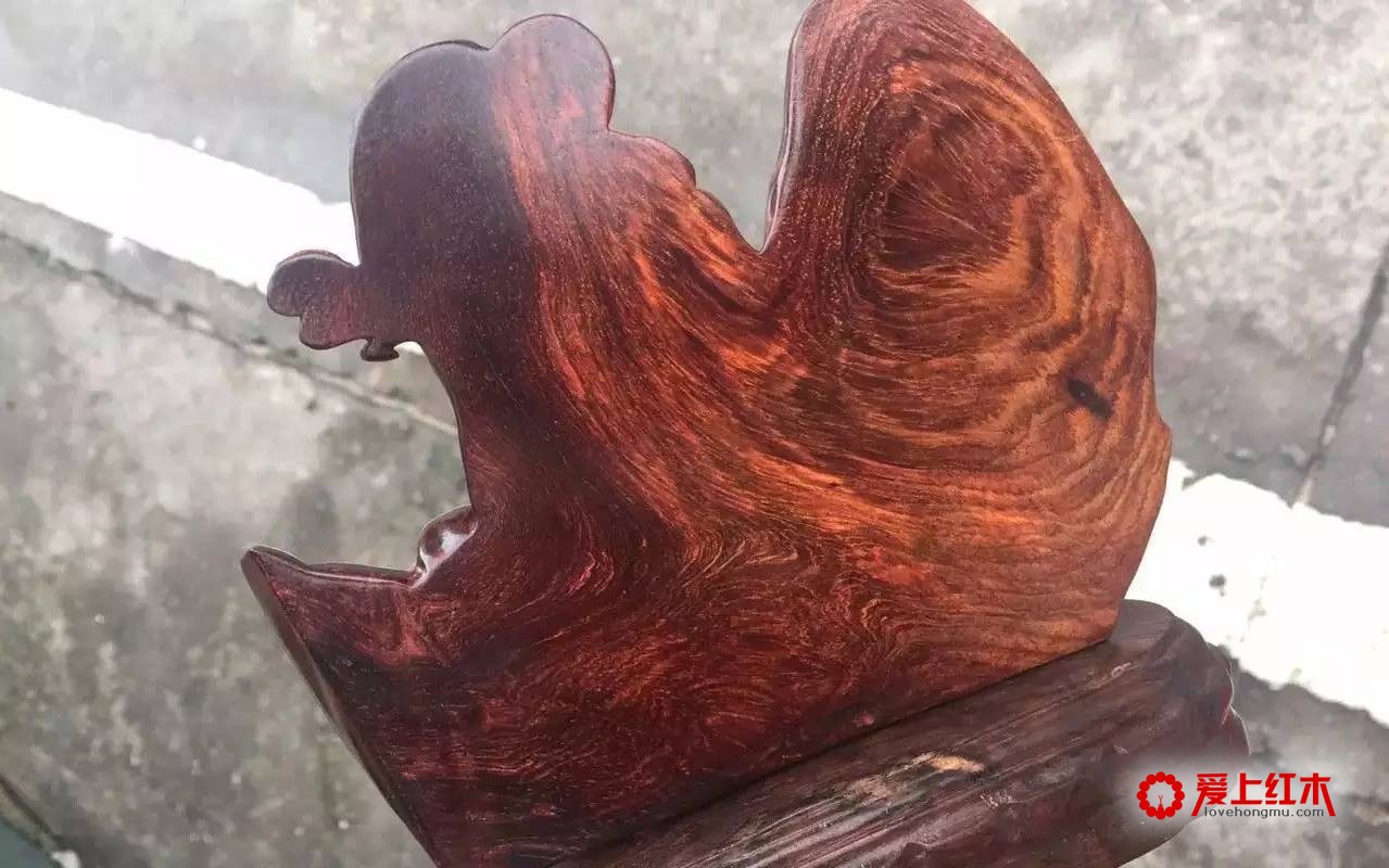 海南黄花梨的身价传奇史 海南黄花梨的收藏价值-5