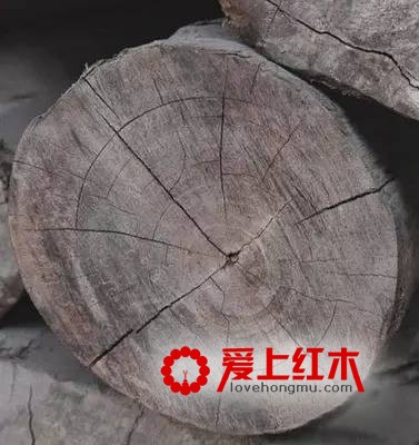 什么是木头的木性？原木要如何处理才能制作家具-1