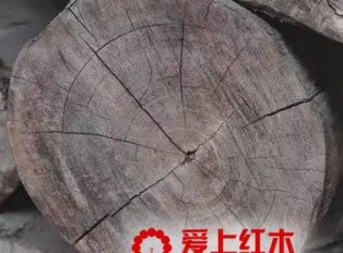 什么是木头的木性？原木要如何处理才能制作家具