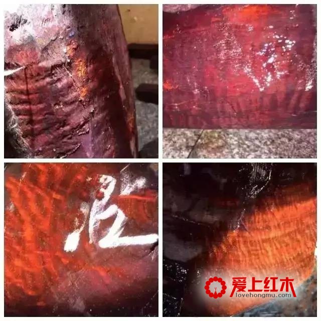 不同木头中的纹理欣赏 极品纹理美不胜收-6