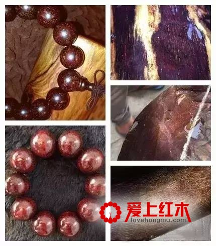 不同木头中的纹理欣赏 极品纹理美不胜收-7