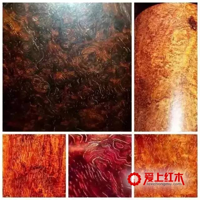 不同木头中的纹理欣赏 极品纹理美不胜收-9