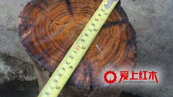 两种最容易假冒乌木的木材：黑酸枝木与紫油木-2