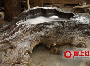 乌木为什么就值万两黄金！