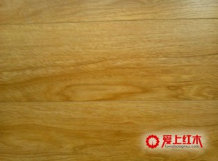 黄檀植物学的基本特性