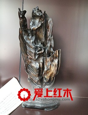 介绍乌木主要树种有哪些