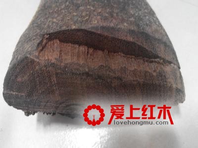 乌木屑的作用有哪些