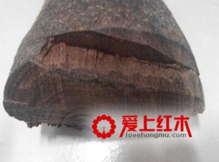乌木屑的作用有哪些