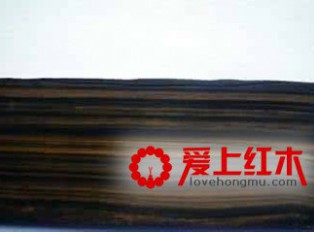 苏拉威西乌木的鉴赏价值