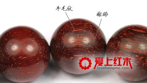 养生：红木的药用价值-2