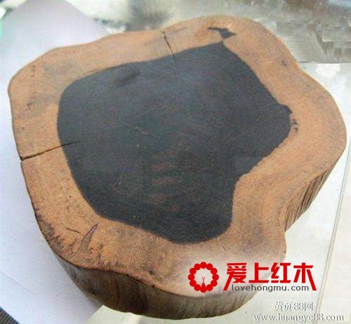 毛药乌木原材料介绍