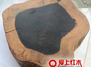 毛药乌木原材料介绍
