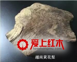 靠燃烧方法就能辨别海黄和越黄，是真的吗？-6