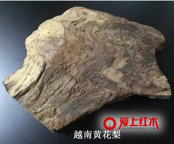 靠燃烧方法就能辨别海黄和越黄，是真的吗？-2