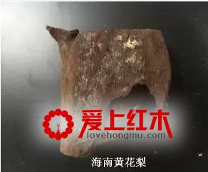 靠燃烧方法就能辨别海黄和越黄，是真的吗？-3