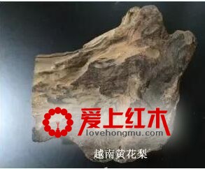 靠燃烧方法就能辨别海黄和越黄，是真的吗？-5
